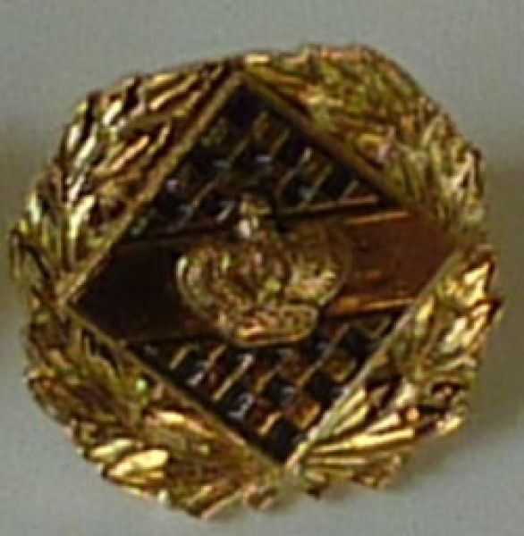 Ansteckpin mit König gold