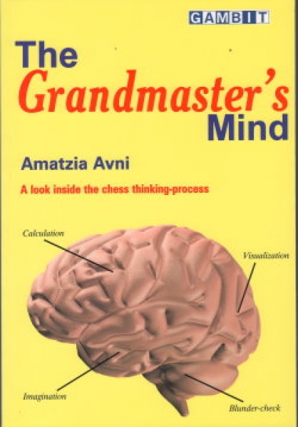 Avni, The Grandmaster's Mind